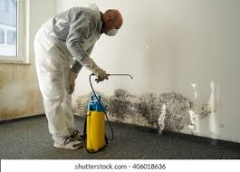 Best Industrial Mold Remediation in USA